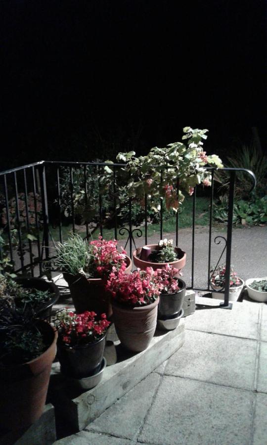 Pett Woodpeckers Cottage B&B المظهر الخارجي الصورة