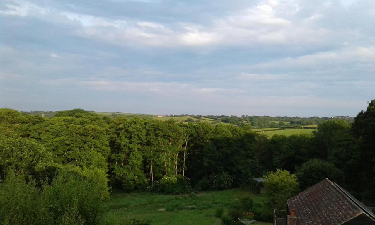 Pett Woodpeckers Cottage B&B المظهر الخارجي الصورة