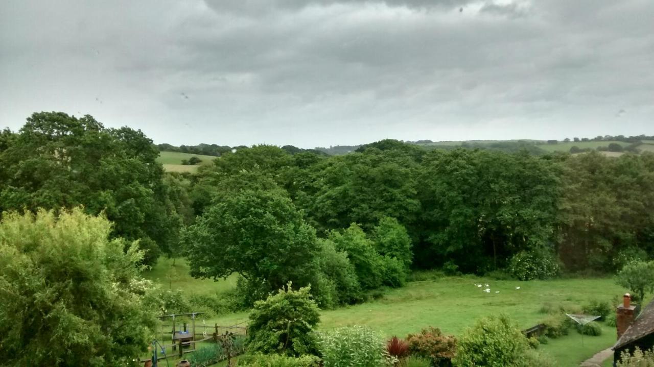 Pett Woodpeckers Cottage B&B المظهر الخارجي الصورة