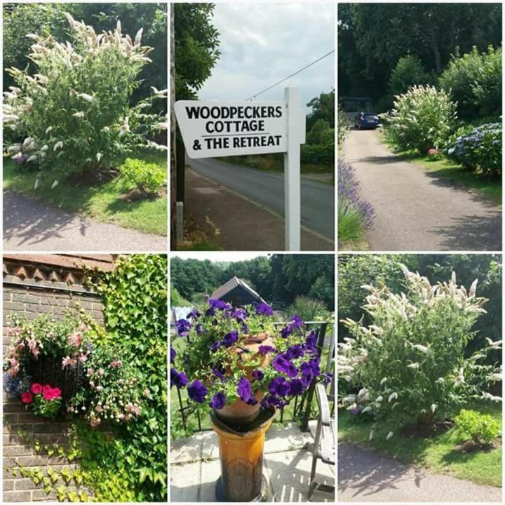 Pett Woodpeckers Cottage B&B المظهر الخارجي الصورة